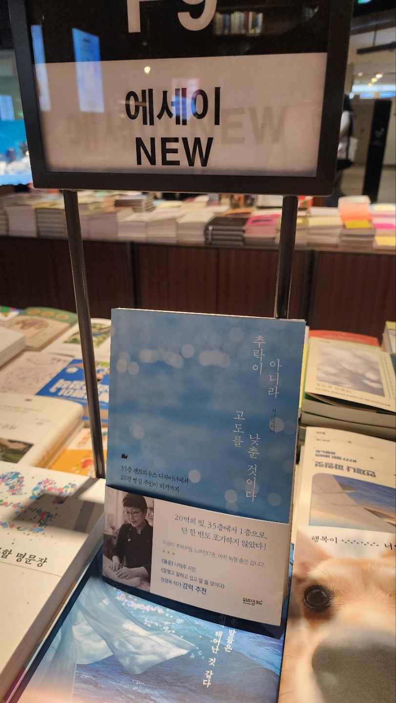 에세이 NEW 코너의 책